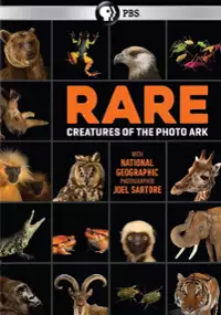 Plakat serialu Projekt Photo Ark