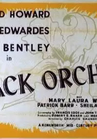 Plakat filmu Black Orchid