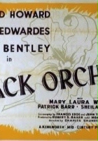 plakat filmu Black Orchid