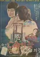 plakat filmu Mangmyeongui neup