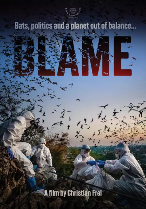 plakat filmu Znaleźć winnego