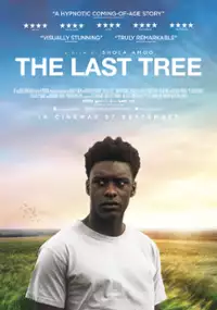 Plakat filmu Ostatnie drzewo