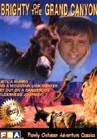plakat filmu Brighty - osiołek z Wielkiego Kanionu