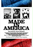 plakat filmu Made in America