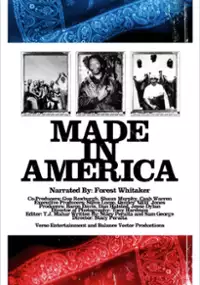 Plakat filmu Made in America