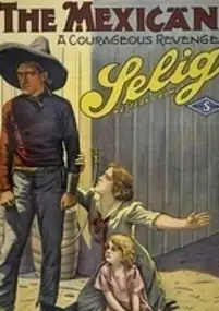 Plakat filmu The Mexican