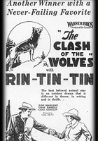 plakat filmu Starcie wilków