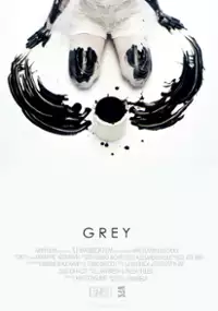Plakat filmu Grey