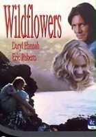 plakat filmu Wildflowers
