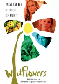 Plakat filmu Wildflowers