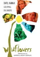 Blues Traveler / $webTool.doNotEscapeHTMLSafe($film.getTitleByLocaleOrOriginalTitle($rc.locale))