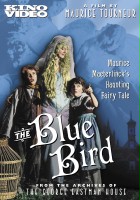 plakat filmu Niebieski ptak
