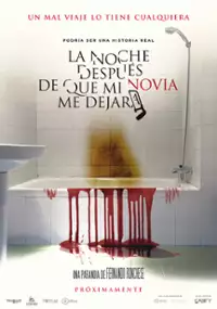 Plakat filmu La noche después de que mi novia me dejara