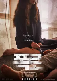 Plakat filmu Pokro