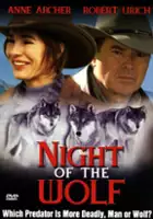 plakat filmu Noc wilka