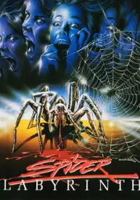 Plakat filmu Il nido del ragno