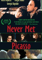 plakat filmu Never Met Picasso