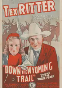 Plakat filmu Down the Wyoming Trail