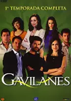 Rafa Montesinos / Gavilanes