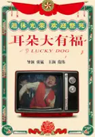 plakat filmu Er Duo Da You Fu