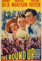 plakat filmu The Roundup