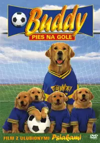 Plakat filmu Buddy - pies na gole