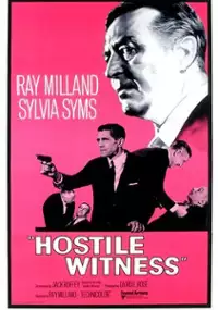 Plakat filmu Hostile Witness