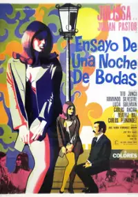 Plakat filmu Ensayo de una noche de bodas