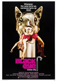 Plakat filmu Black Eye