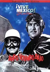 Plakat filmu Ando volando bajo