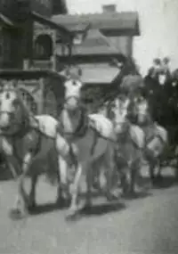 Plakat filmu Hotel del Monte