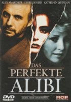 plakat filmu Idealne alibi