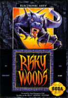 plakat gry Risky Woods