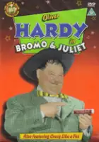 plakat filmu Bromeo i Julia