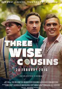 Plakat filmu Three Wise Cousins