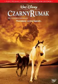 Plakat filmu Czarny rumak