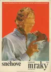 Plakat filmu Śnieżyca