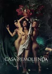 Plakat filmu Casa de Remolienda