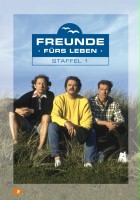 plakat - Freunde fürs Leben (1992)