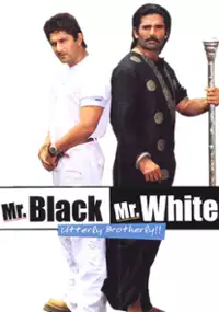 Plakat filmu Mr. White Mr. Black
