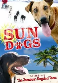 Plakat filmu Sun Dogs