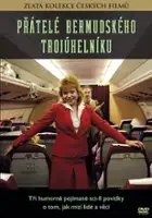 plakat filmu Přátelé Bermudského trojúhelníku