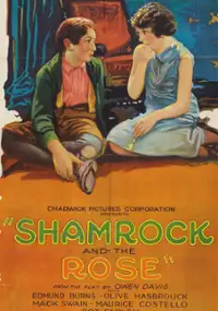 Plakat filmu The Shamrock and the Rose