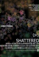 plakat filmu Shattered