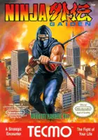 plakat filmu Ninja Gaiden