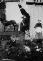 James H. White / Feeding the Doves