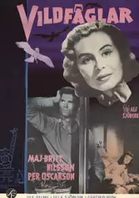 Plakat filmu Dzikie ptaki