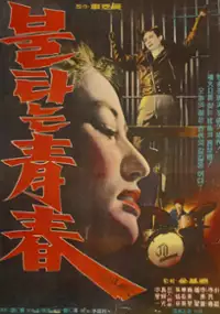 Plakat filmu Bultaneun cheongchun