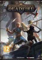 plakat gry Pillars of Eternity II: Deadfire