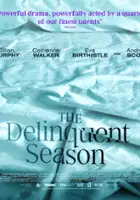 plakat filmu The Delinquent Season